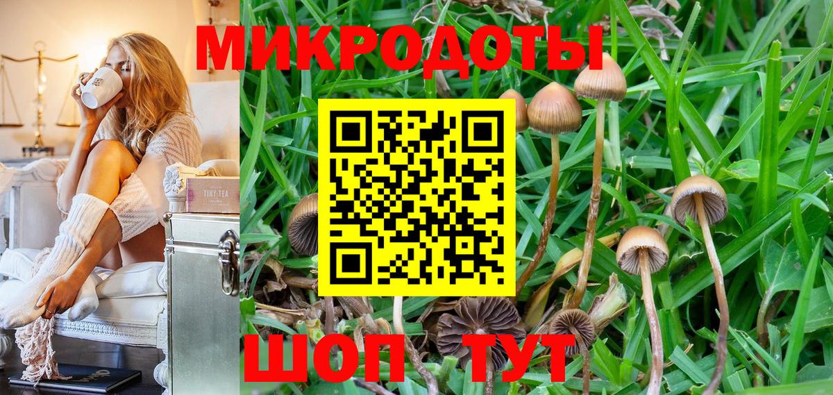 Псилоцибиновые грибы GOLDEN TEACHER Брянск